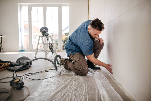 Best Fire-Damaged Drywall Repair  in Berly, MO